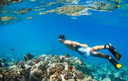 Snorkeling